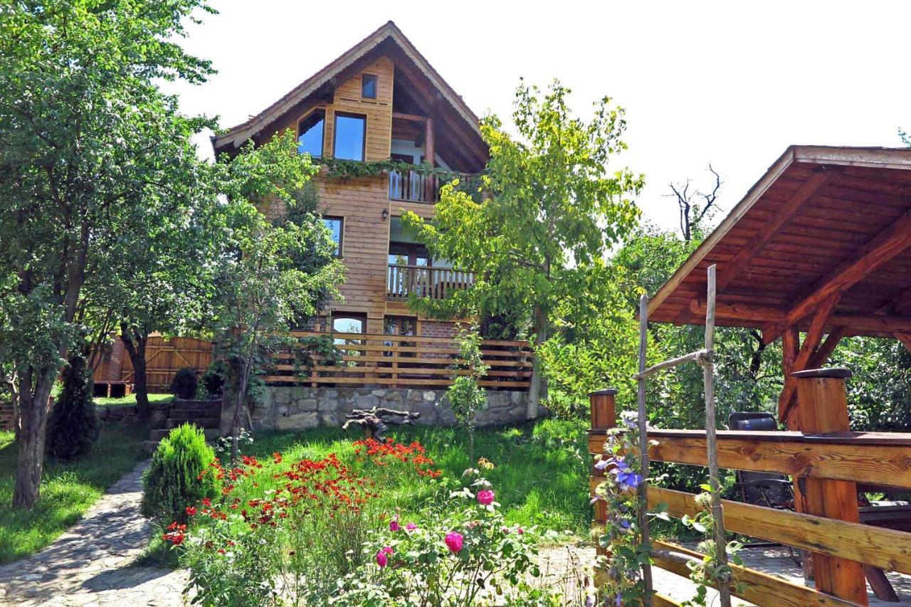 Sălişte Casa Zollo 아파트 외부 사진