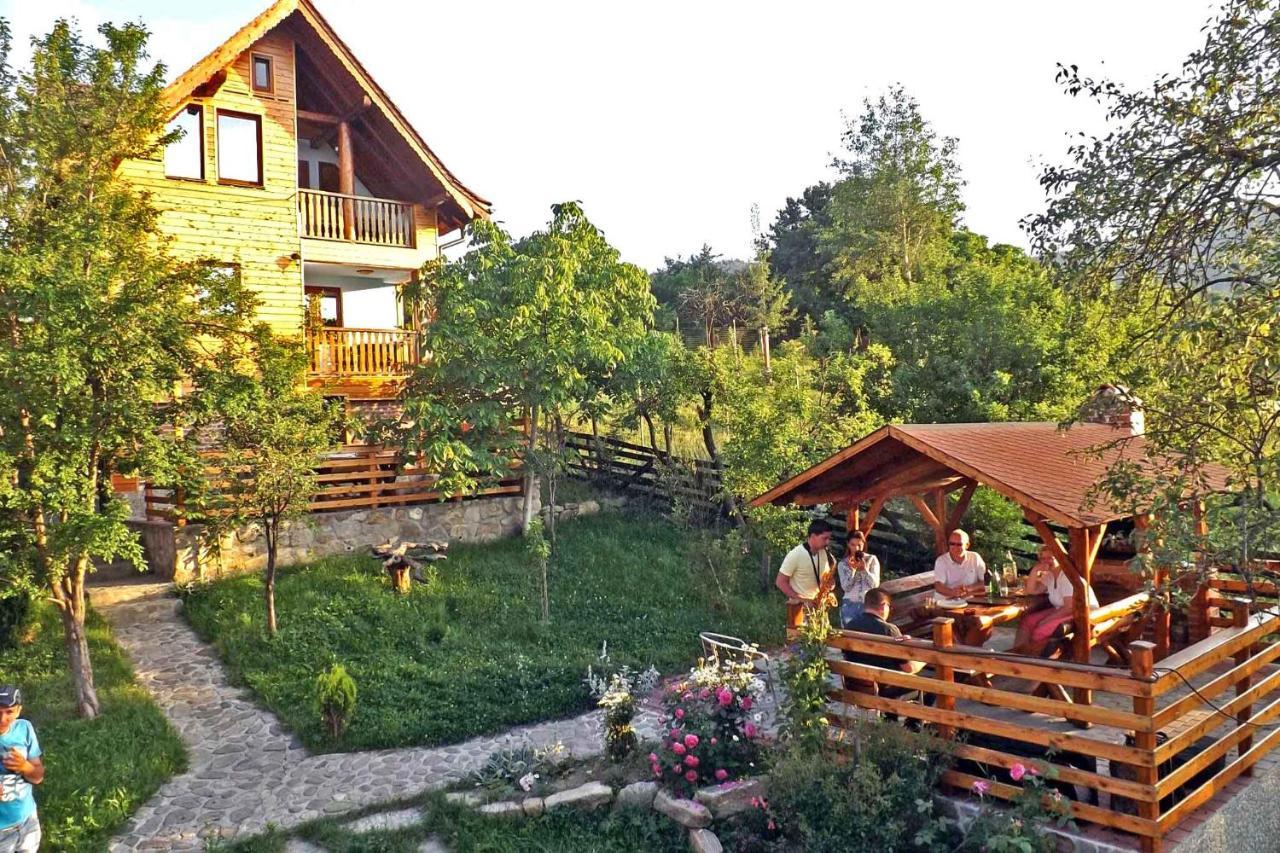 Sălişte Casa Zollo 아파트 외부 사진