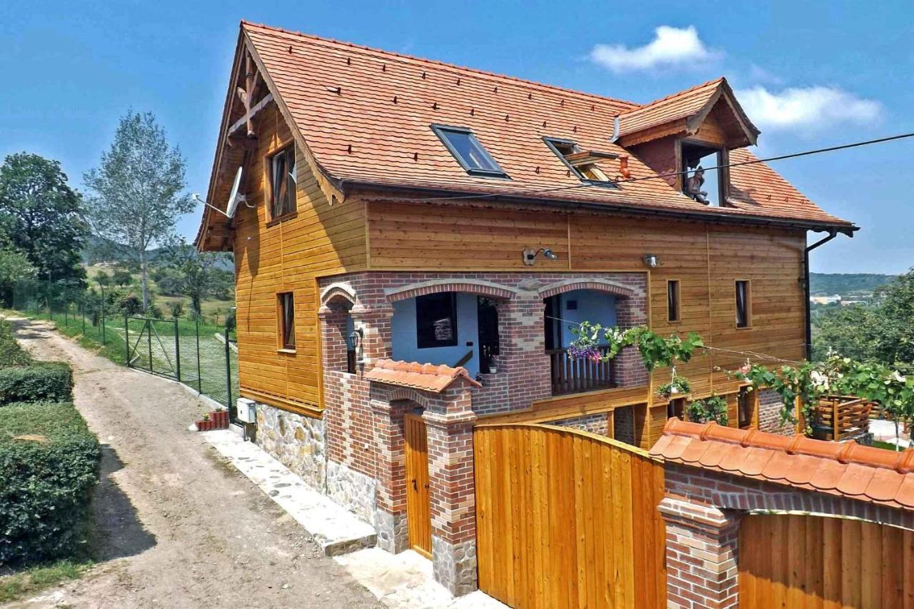 Sălişte Casa Zollo 아파트 외부 사진