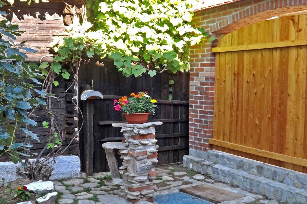 Sălişte Casa Zollo 아파트 외부 사진